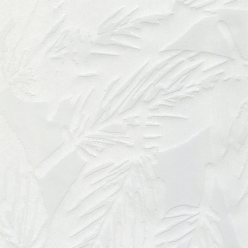 BAHAMA WHITE - Image 2
