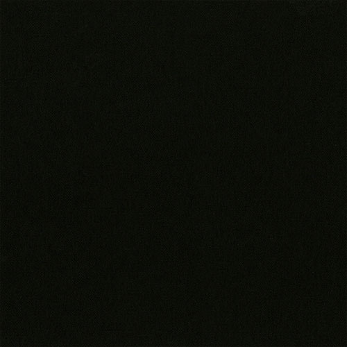 CARNIVAL RAVEN - Image 2