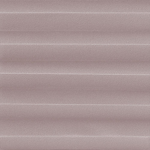 FESTIVAL SR PAPYRUS - Image 2