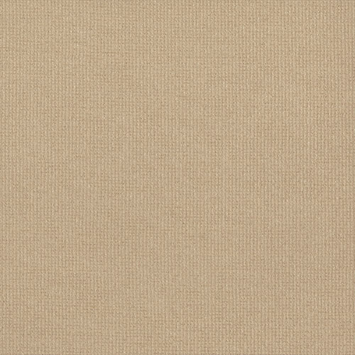 GUARDIAN PARCHMENT - Image 2