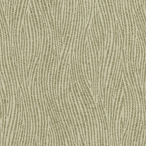 SAVANNA BLACKOUT GRASS - Image 2