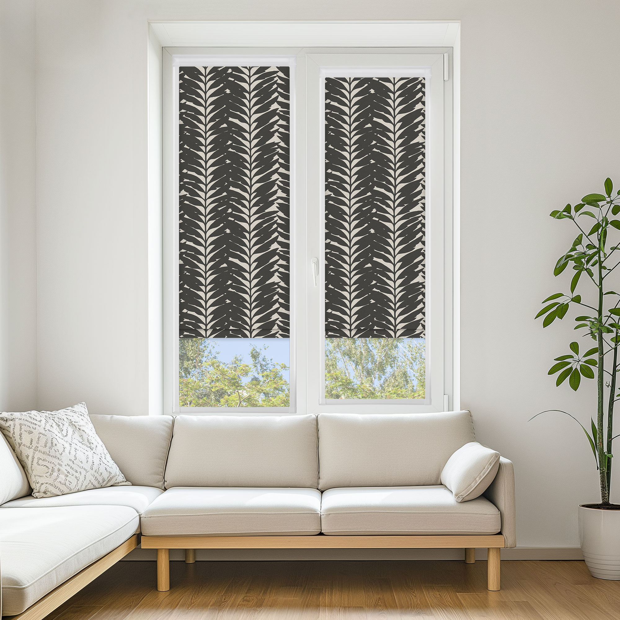 ACACIA BLACKOUT EBONY