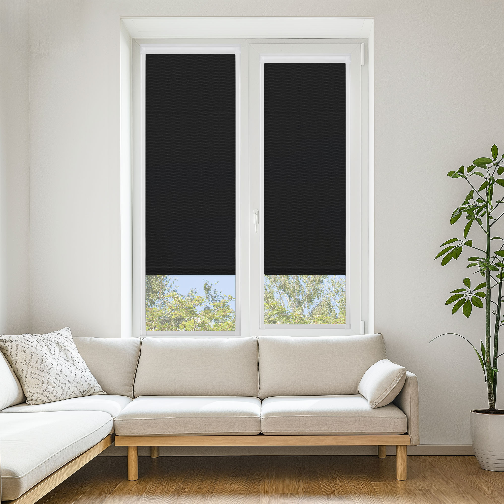 CARNIVAL ANTHRACITE