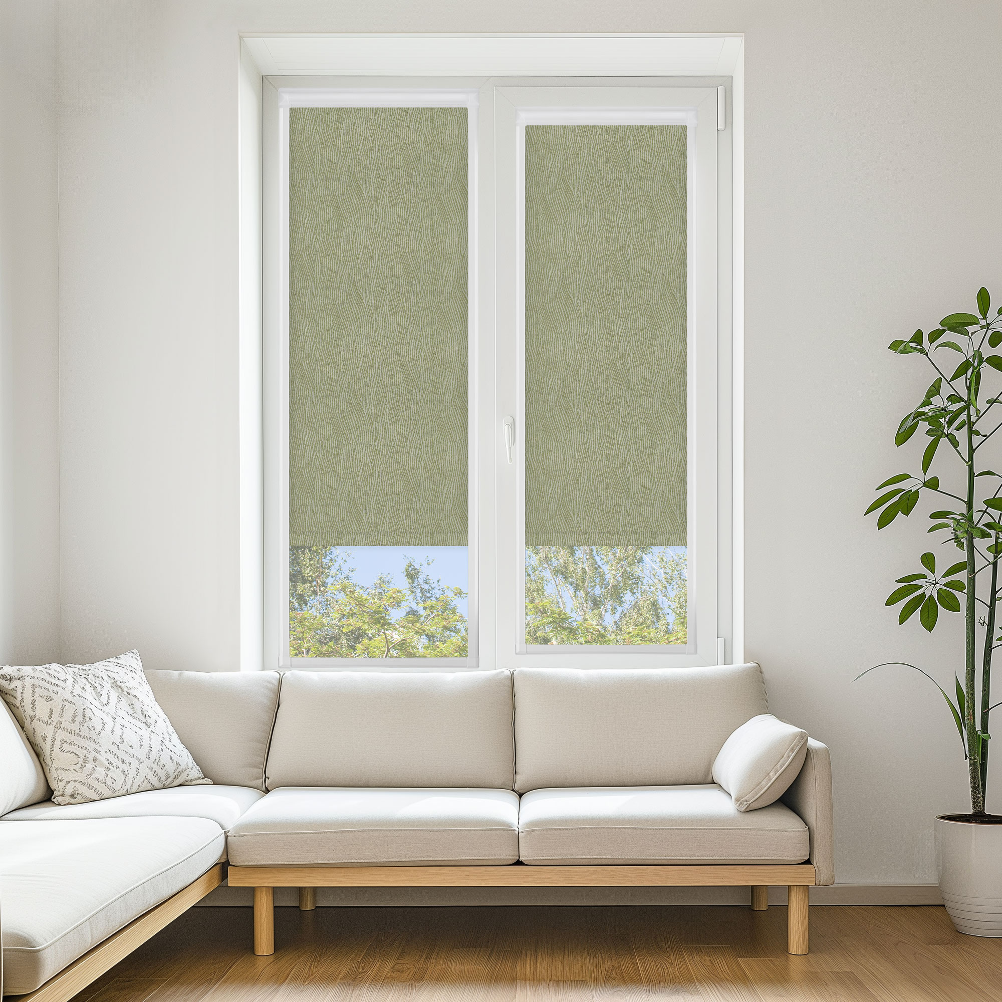 SAVANNA BLACKOUT GRASS
