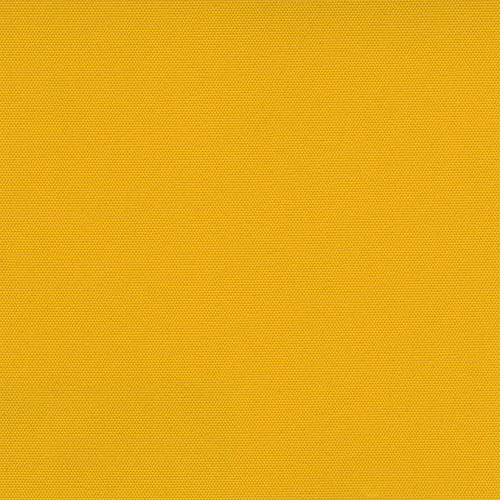 CARNIVAL BLACKOUT OCHRE - Image 2