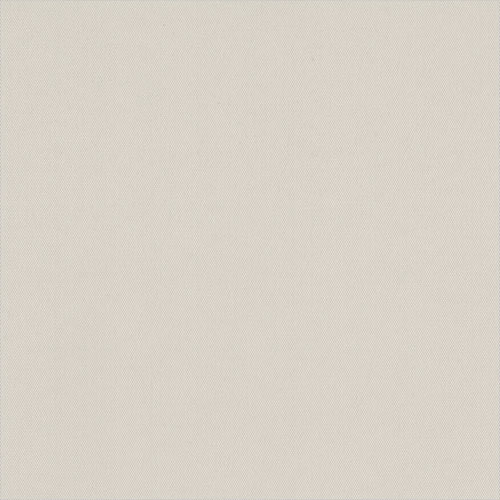 CARNIVAL BLACKOUT PAPAYA - Image 2