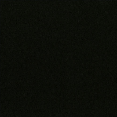 CARNIVAL BLACKOUT RAVEN - Image 2