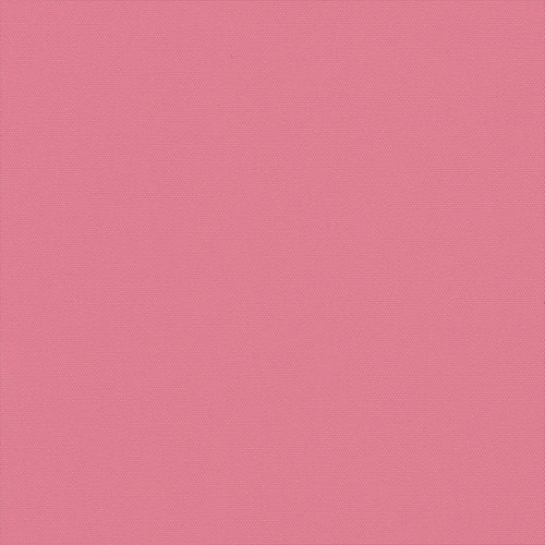 CARNIVAL BUBBLEGUM - Image 2