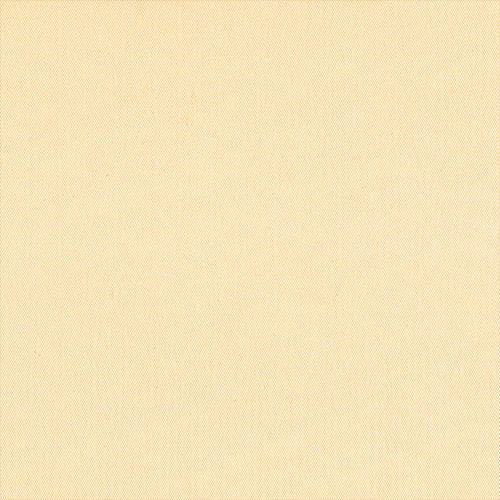 CARNIVAL IVORY - Image 2