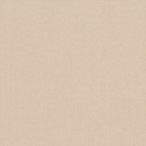 CARNIVAL NOUGAT - Image 2
