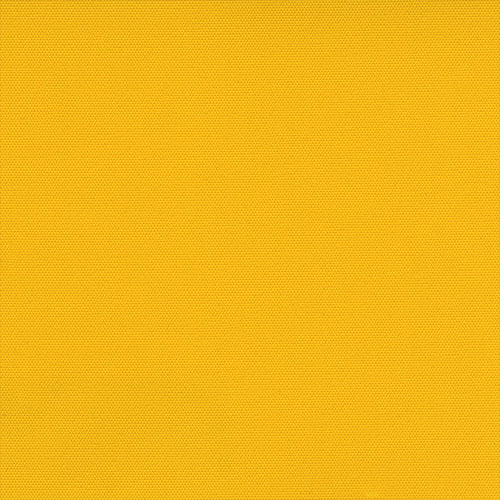 CARNIVAL OCHRE - Image 2