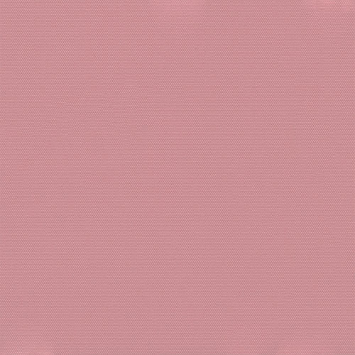 CARNIVAL PINK - Image 2