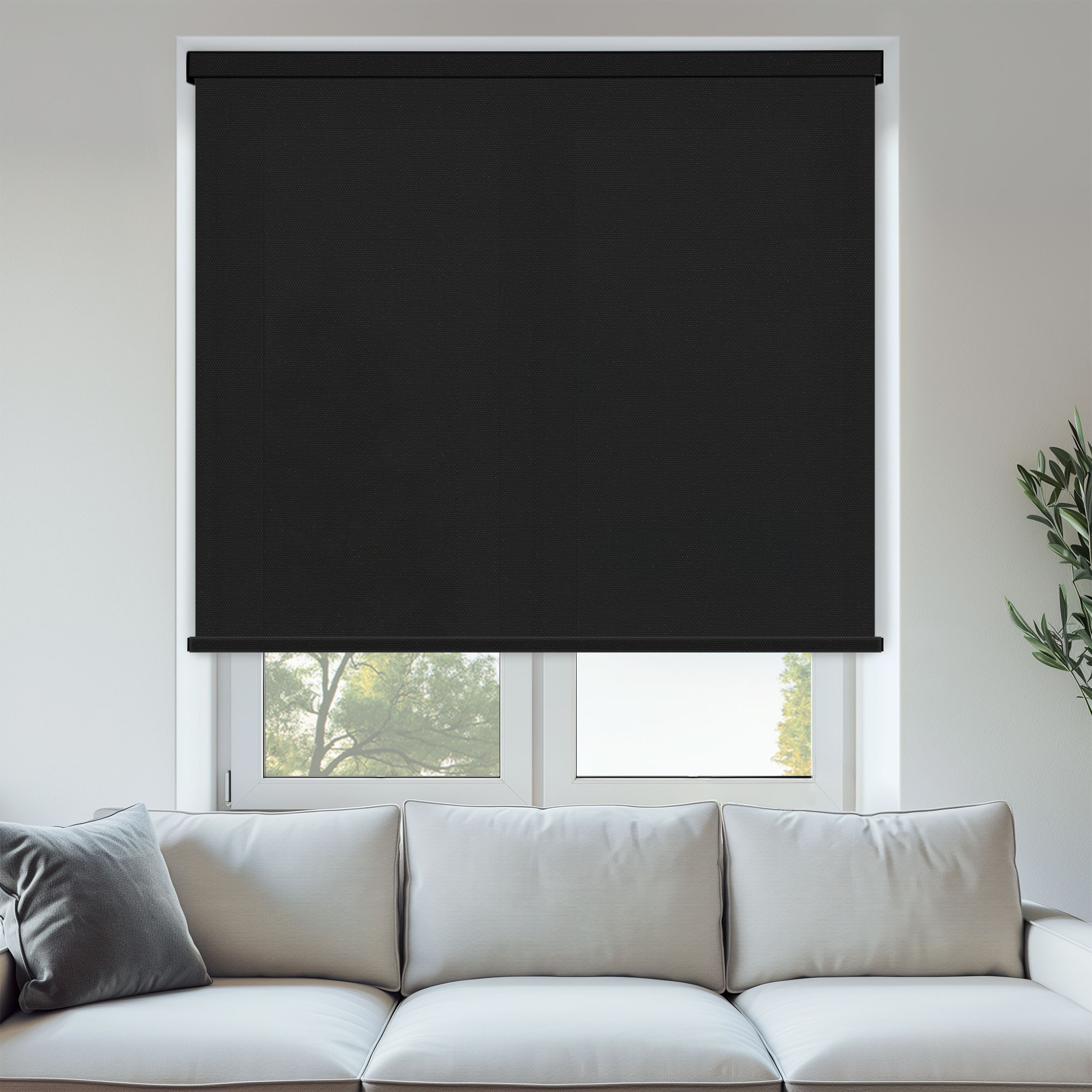 CARNIVAL ANTHRACITE