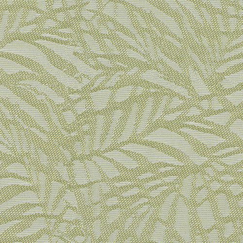 ZEN BLACKOUT KIWI - Image 2